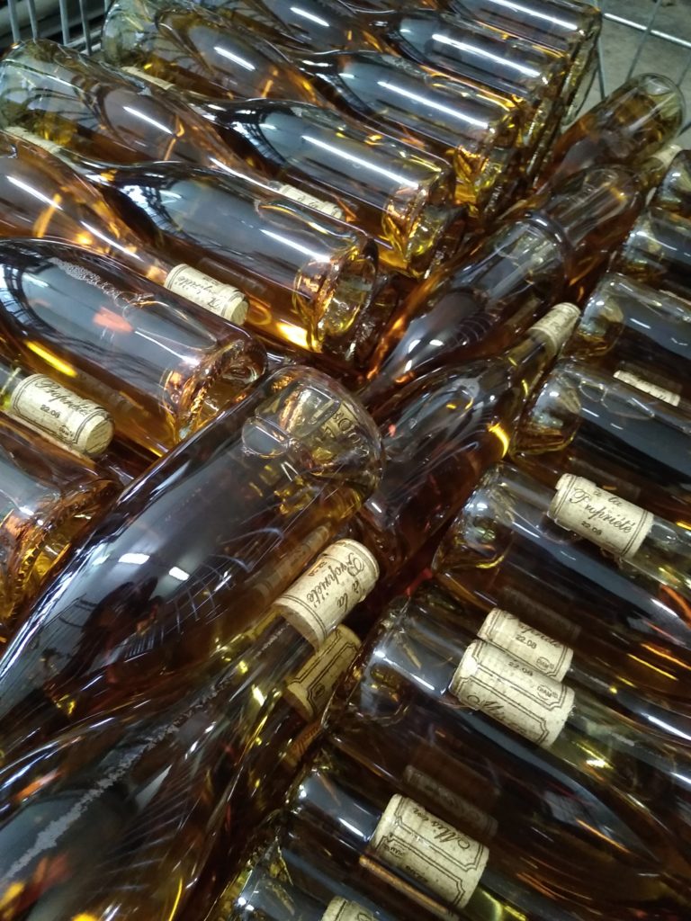 Mise en bouteilles Vin Orange cuvée "288" 2020