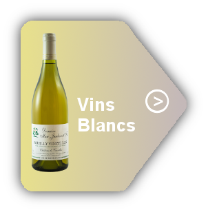 vins blancs Domaine Marc JAMBON et Fils