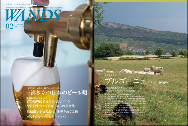 Magazine WANDS (japon) février 2020