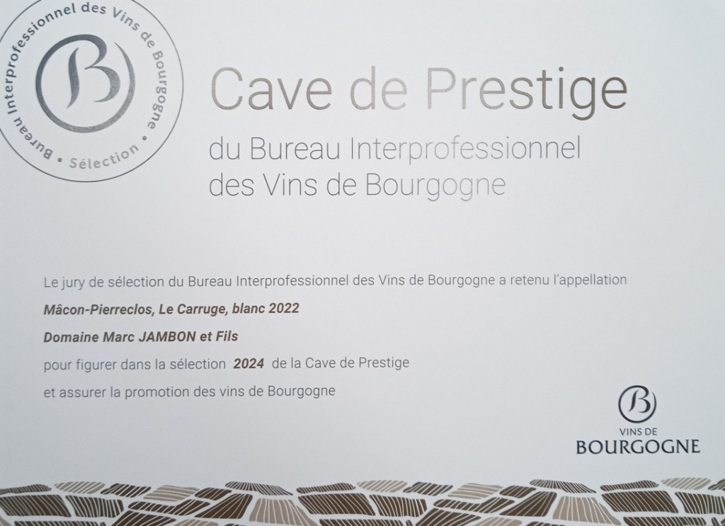 Domaine Marc JAMBON  Mâcon-Pierreclos Le Carruge 2022 - Sélection cave de Prestige du BIVB 2024